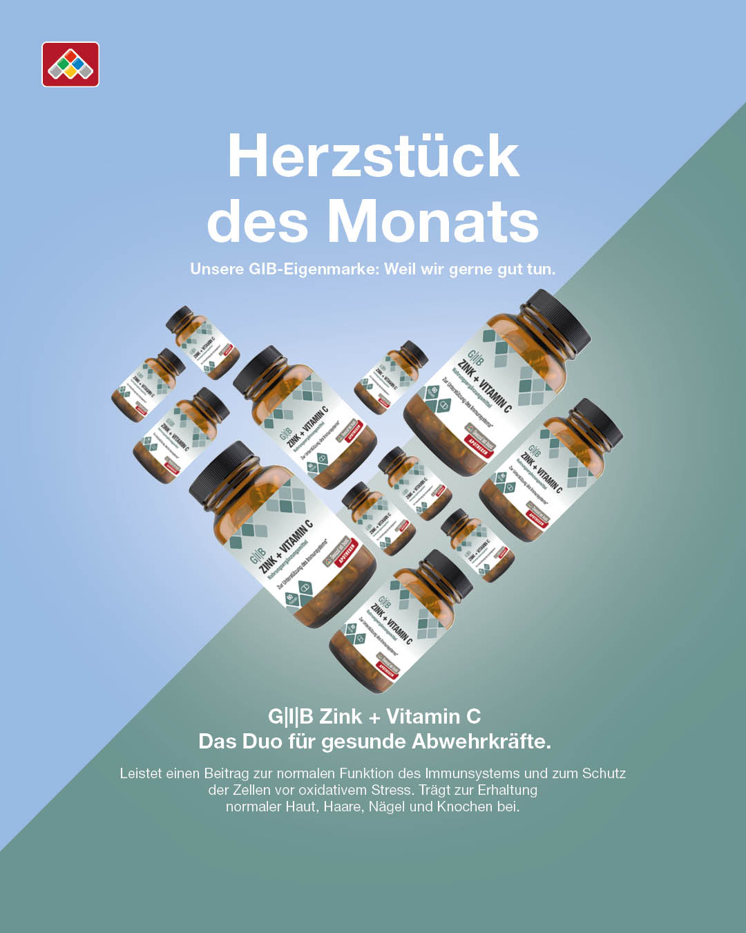 GIB Zink + Vitamain C - Produkt des Monats Februar